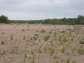 1/2 Mile Upstream from Operation