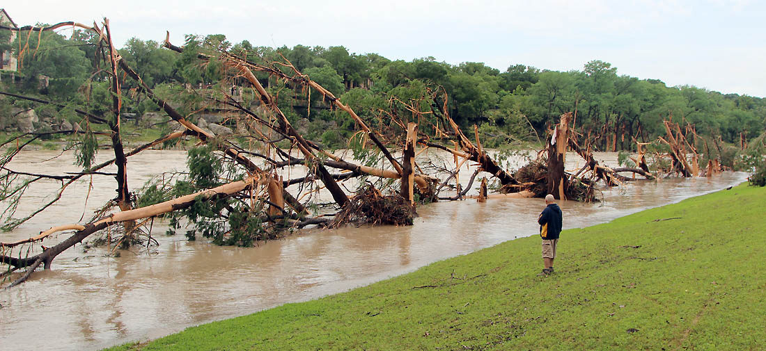 Image result for flooded river uprooted trees