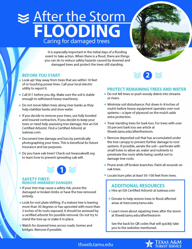 After the storm_Flooding-1_Page_1