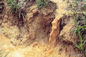 erosion causes soil to run into water